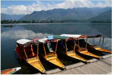 The kashmir outreach and the afghan storm