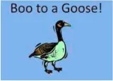 Wouldn't say boo to a goose