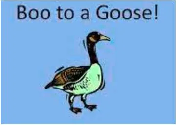 Wouldn't say boo to a goose