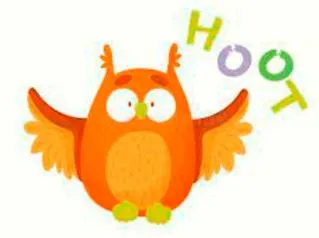 To not give a hoot
