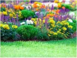 A garden