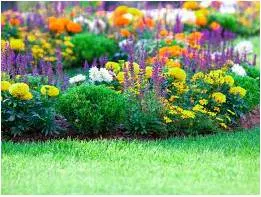 A garden