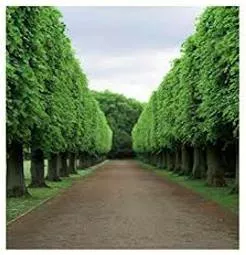 Backdrop  - - The setting or background for a scene, event, or situation.
