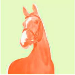 To say you could eat a horse
