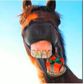 To look a gift horse in the mouth