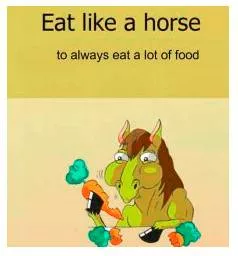 To eat like a horse