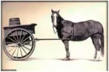 To put the cart before the horse