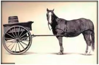 To put the cart before the horse