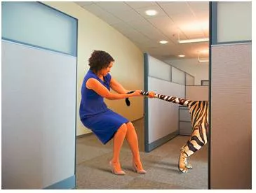 To have a tiger by the tail