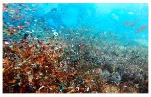 The ganga’s message  on microplastics pollution