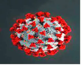 Zapping the virus