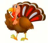 To talk turkey