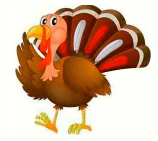 To talk turkey