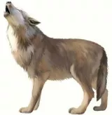 To cry wolf