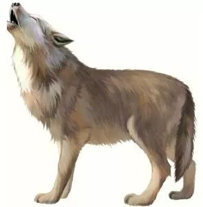 To cry wolf