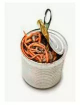 To open a can of worms