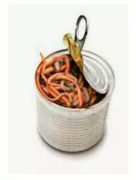 To open a can of worms