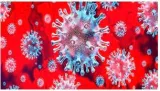 The cusp  on disconcerting note of coronavirus story 