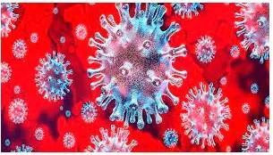 The cusp  on disconcerting note of coronavirus story 
