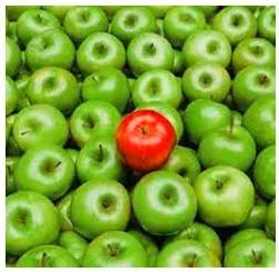 Conspicuously  - In a way that is easy to see or notice, or that is likely to attract attention.