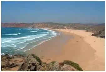 Littoral  - Relating to or situated on the shore of the sea or a lake.