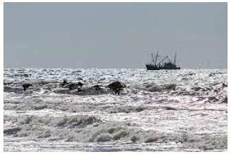 Flounder  - Be in a difficult and serious situation financially.