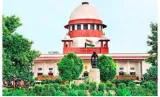 Filled to the nines  on supreme court’s appointment spree