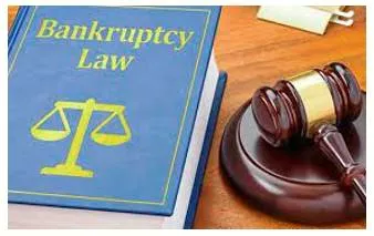 Bankrupting reform  vacancies in nclt are undermining ibc  goi needs to fill them soon