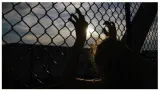 Why a strong law against human trafficking is necessary in post covid times