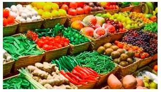 Sustenance  - The maintaining of someone or something in life or existence.