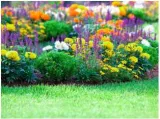 A garden