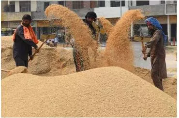 Reimagining food systems with lessons from india