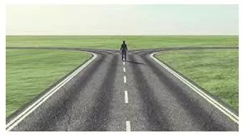 Bifurcation  - The division of something into two branches or parts.