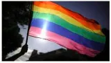 Doctor cure thyself  on revising queerphobic medical textbooks 