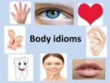 Body idioms of the day