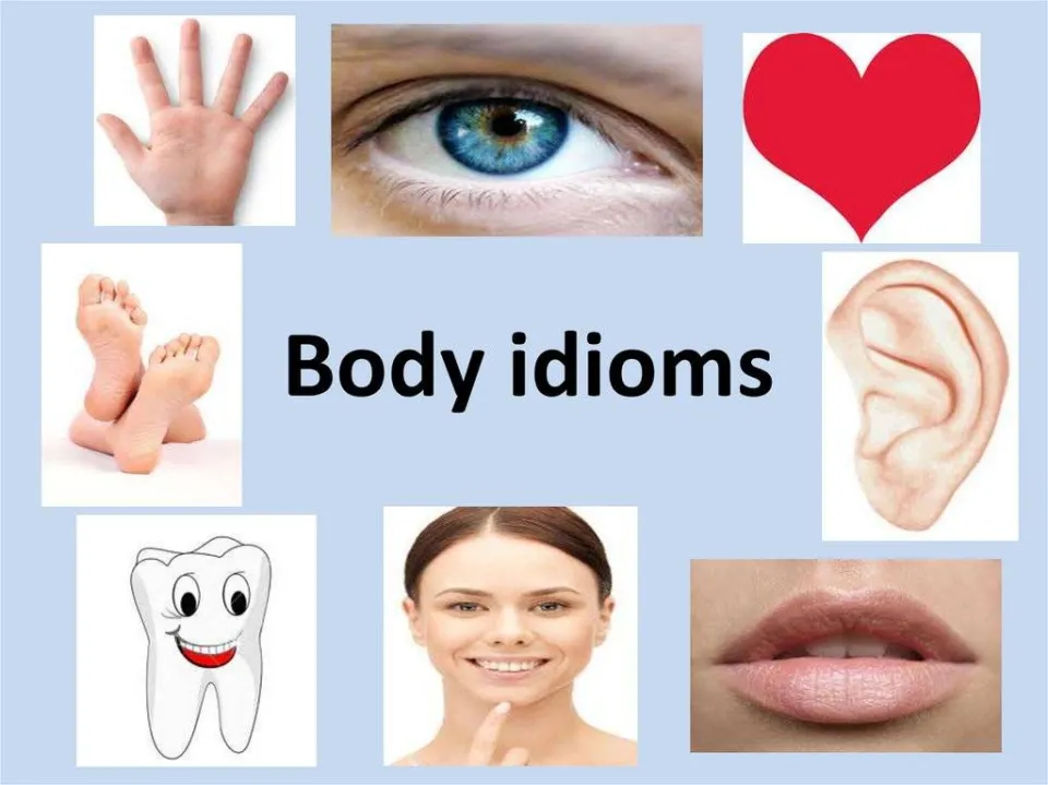 Body idioms of the day