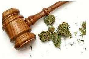 Smarter drug laws  social justice ministry is right  but enlightened narcotics control needs even more reforms 