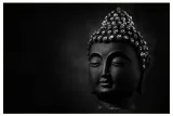 Re evaluating the neo buddhist movement