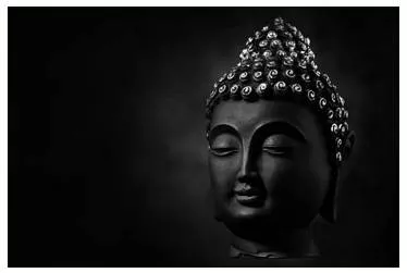 Re evaluating the neo buddhist movement