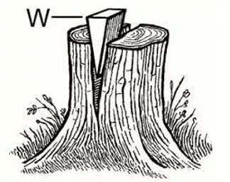 Wedge - Force into a narrow space.