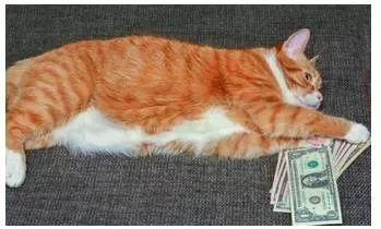 Wherewithal  - The money or other means needed for a particular purpose.