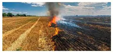 Our airpocrisies  for air quality crisis take aim at farm residue burning  land desertification  not lockdowns