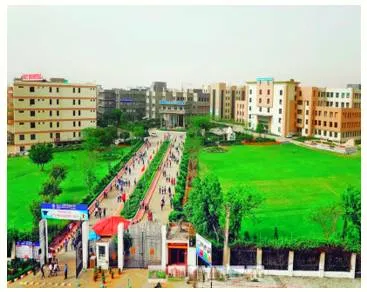 Arbitrary orders to haryana universities