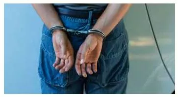 Perpetrate  - To commit a crime or do something wrong or evil.
