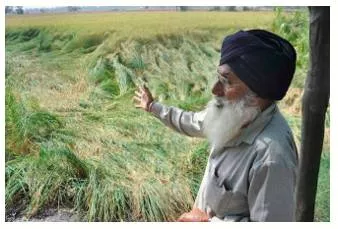 Having an ear to the ground in punjab
