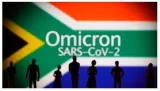 Scale up supplies  on omicron variant