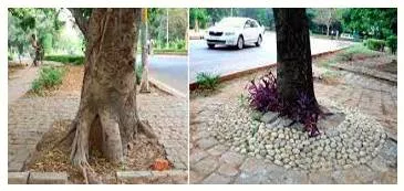 Concretise - Make (an idea or concept) real; give specific or definite form to.
