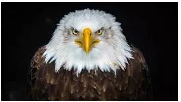 Formidable - Inspiring fear or respect through being impressively large, powerful, intense, or capable.