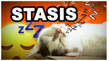 Stasis  - A period or state of inactivity or equilibrium.
