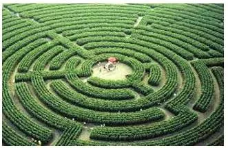 Labyrinth - An intricate and confusing arrangement.